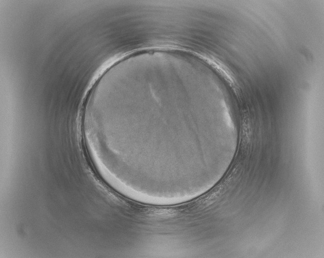 X0000116021382200912181140