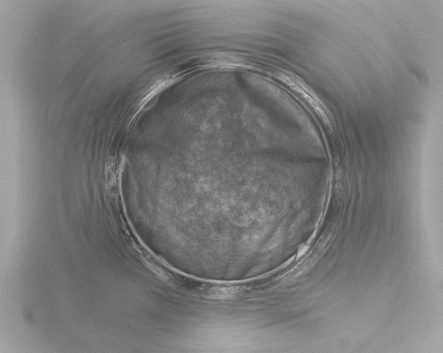 X0000116021385200912181140