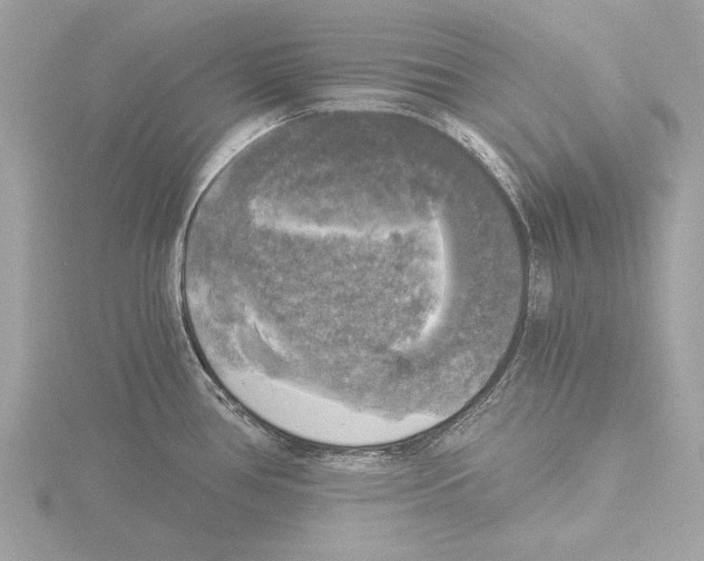 X0000116021386200912181140