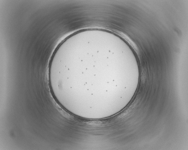 X0000116021388200912181140