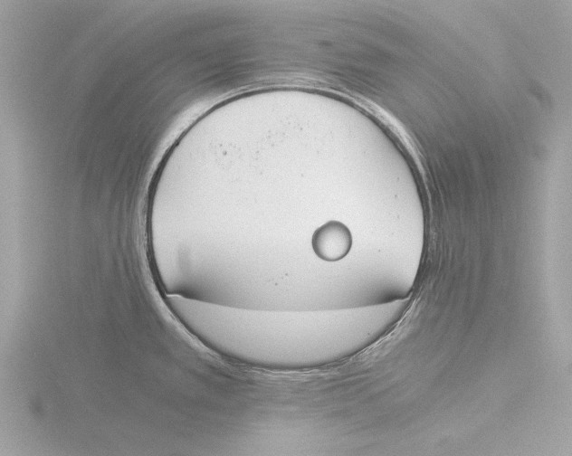 X0000116021389200912181140