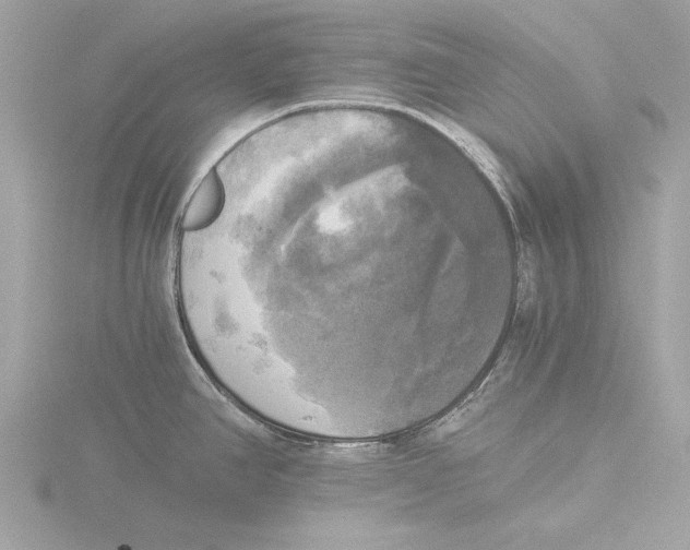 X0000116021390200912181140