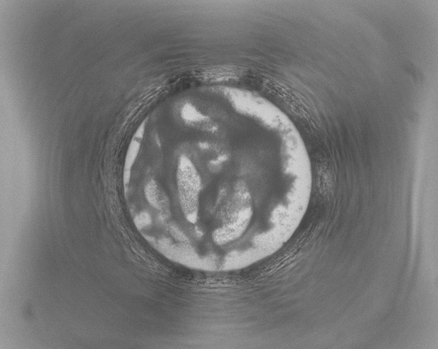 X0000116021393200912181139