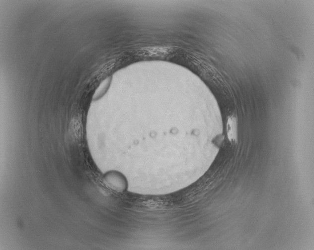 X0000116021395200912181139