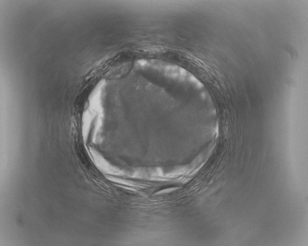 X0000116021397200912181140