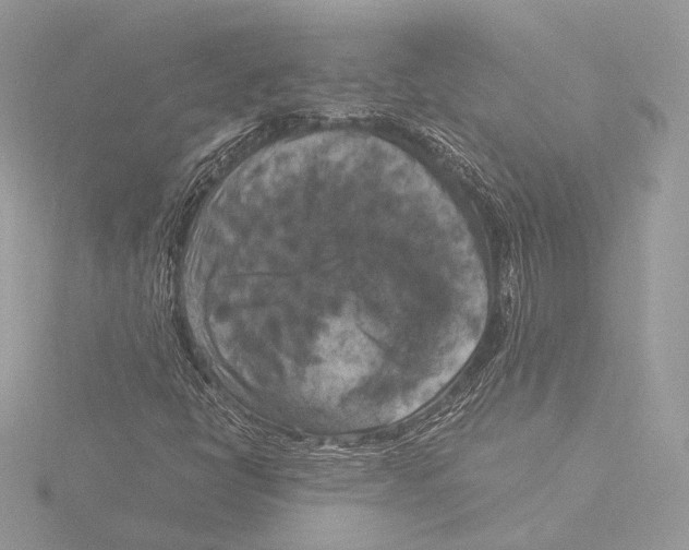 X0000116021398200912181140