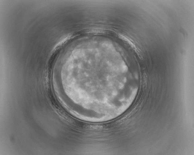 X0000116021403200912181140