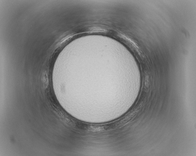 X0000116021407200912181140