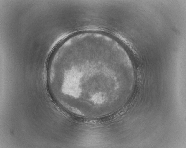 X0000116021408200912181140