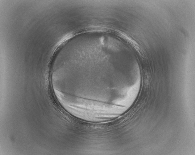 X0000116021411200912181140