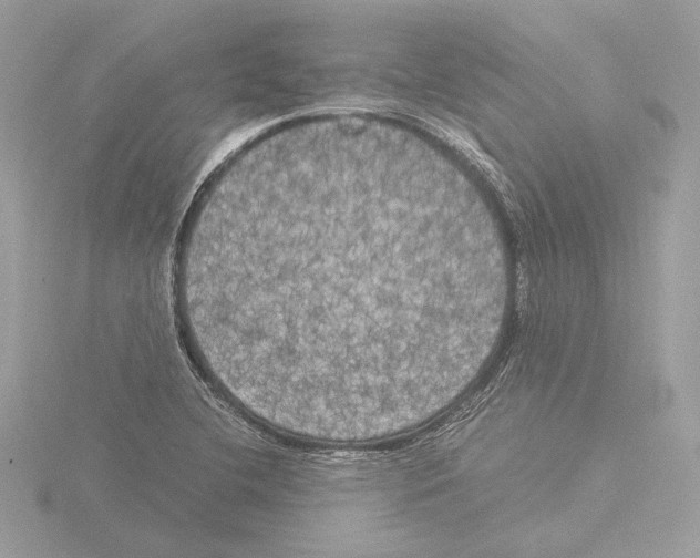 X0000116021412200912181140