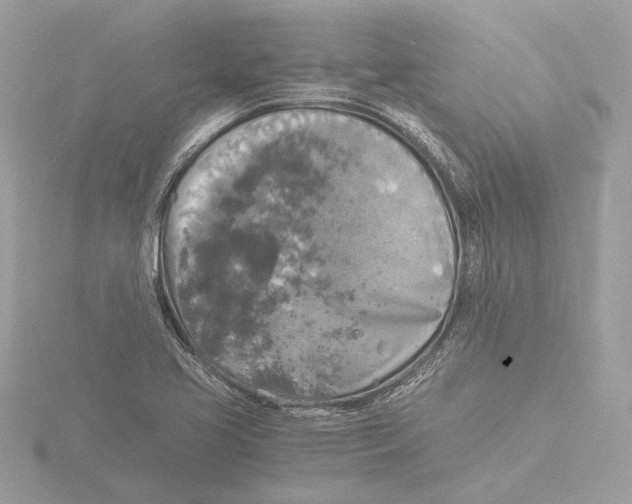 X0000116021413200912181140