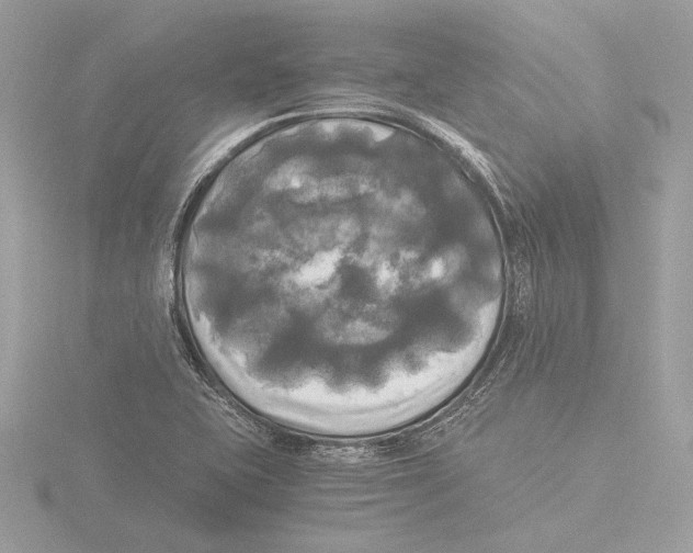 X0000116021415200912181140