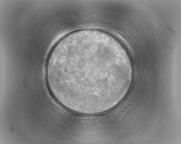 X0000116021416200912181140