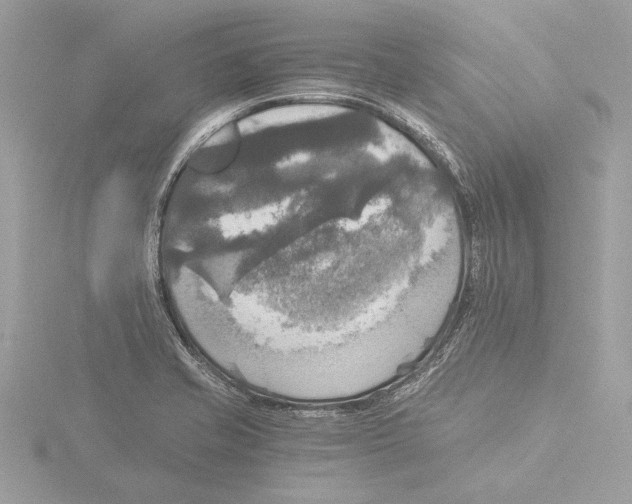 X0000116021421200912181140