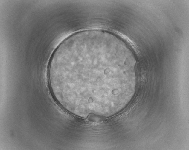 X0000116021423200912181140