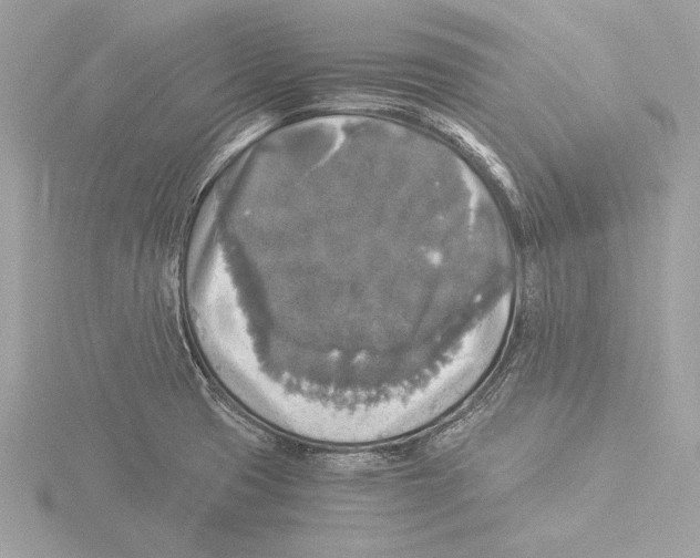 X0000116021425200912181140