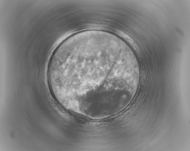 X0000116021427200912181140