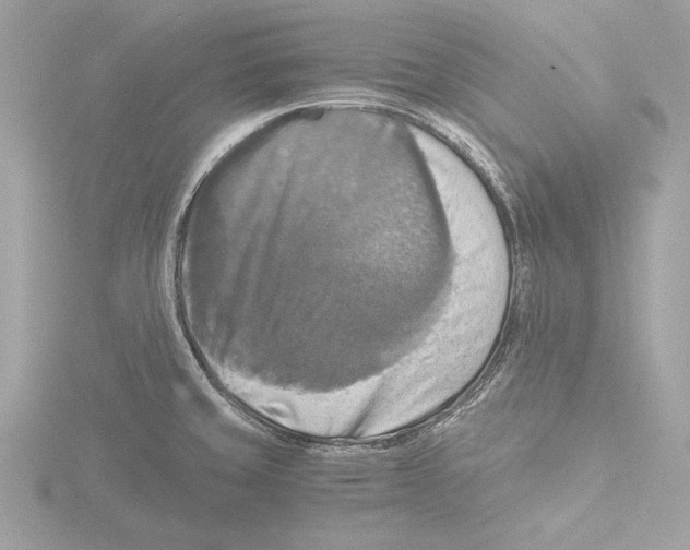 X0000116021429200912181140