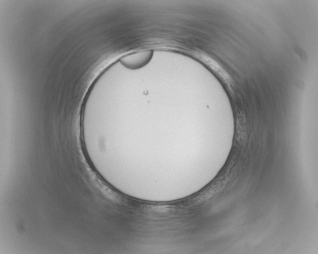 X0000116021431200912181140