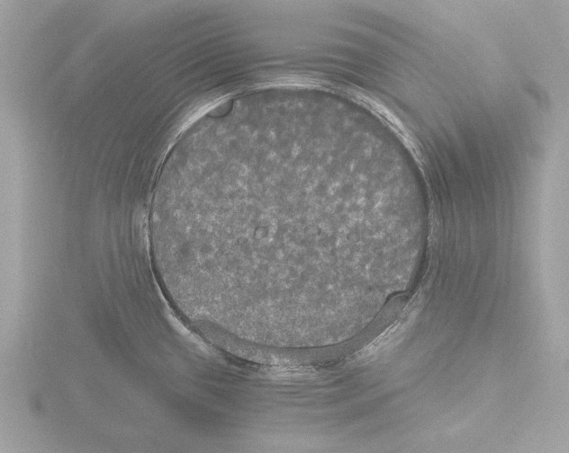 X0000116021433200912181140