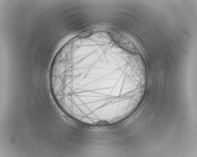 X0000116021434200912181140