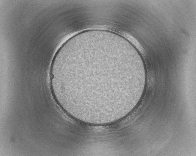 X0000116021436200912181140