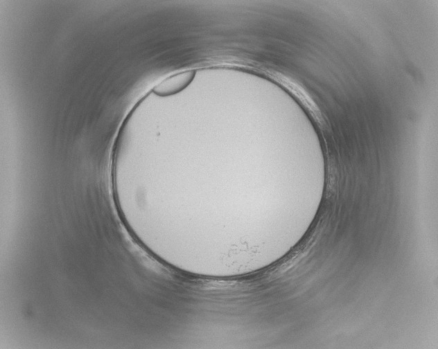 X0000116021439200912181140