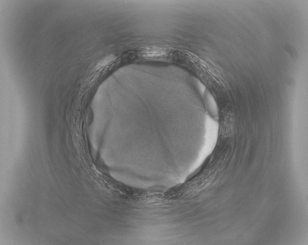 X0000116021441200912181139