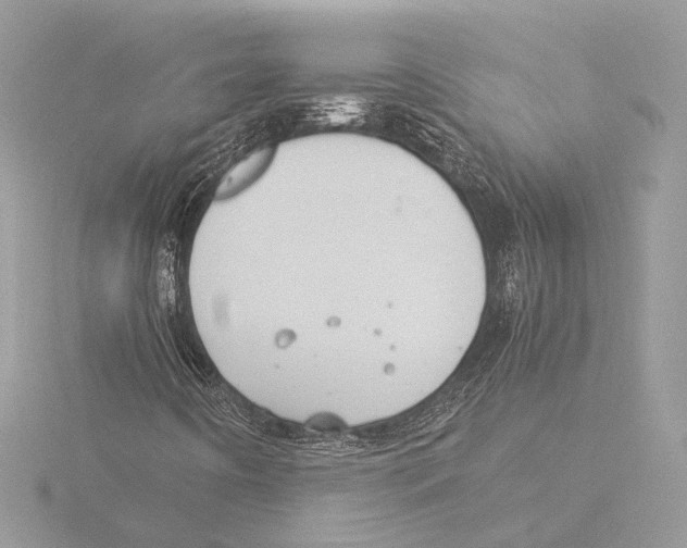 X0000116021442200912181139