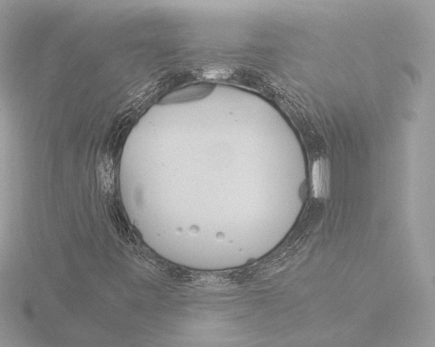 X0000116021443200912181139