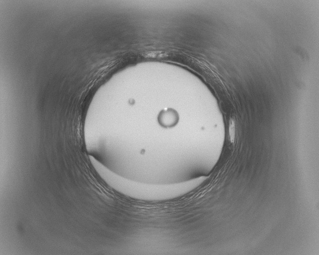 X0000116021444200912181139