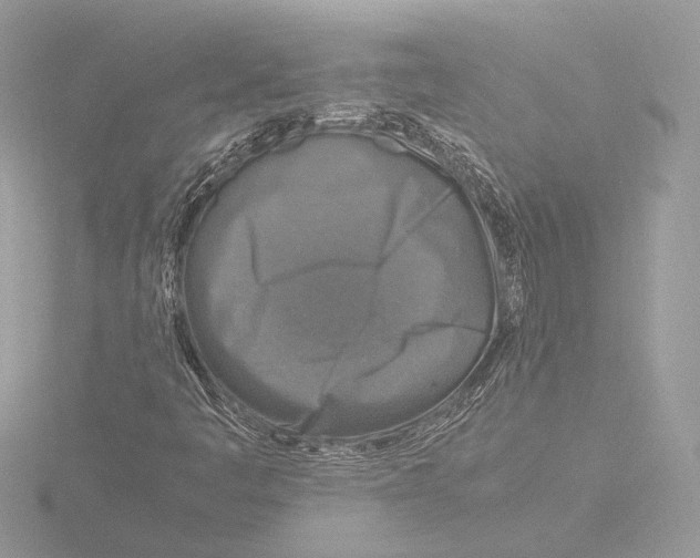 X0000116021445200912181139