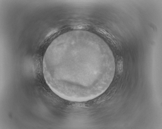 X0000116021446200912181139