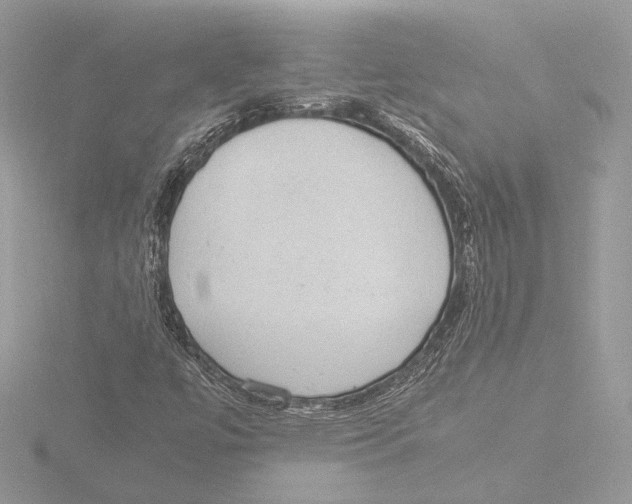 X0000116021447200912181139