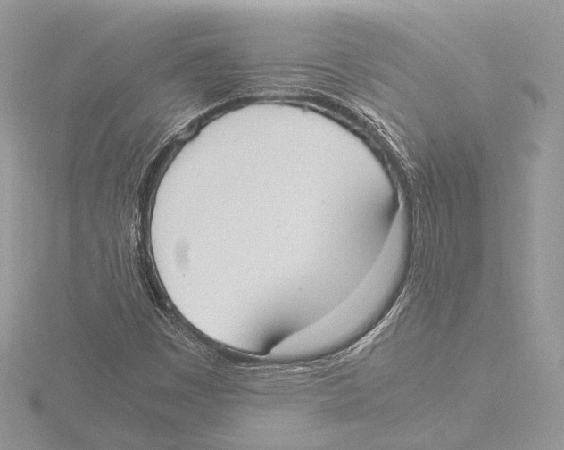 X0000116021449200912181139