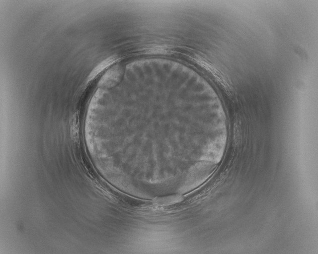 X0000116021450200912181139