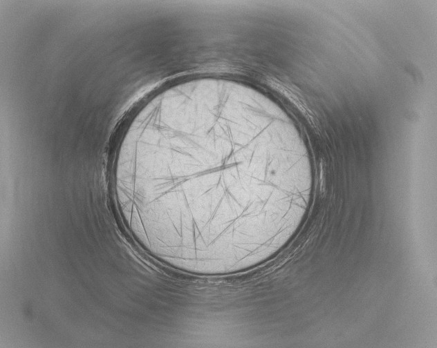 X0000116021452200912181139