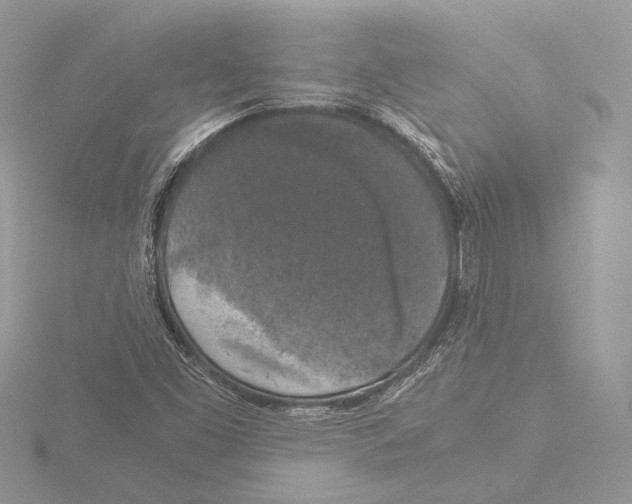 X0000116021453200912181139