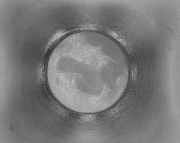 X0000116021454200912181139