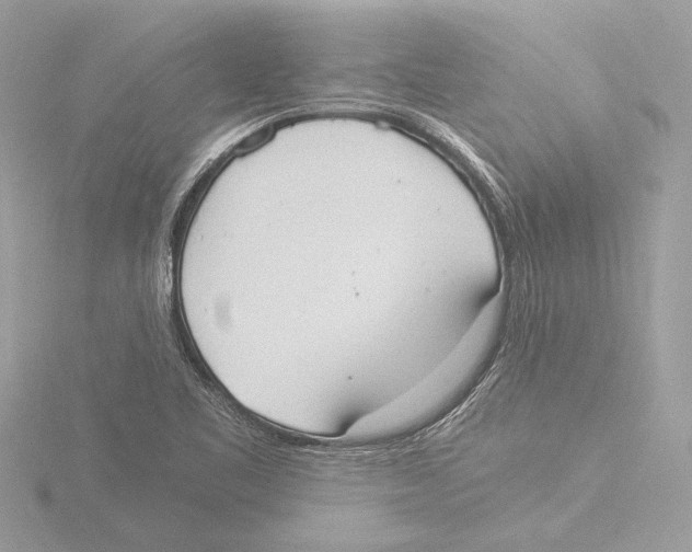 X0000116021461200912181139