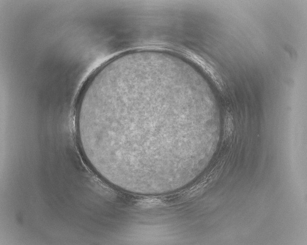 X0000116021462200912181139