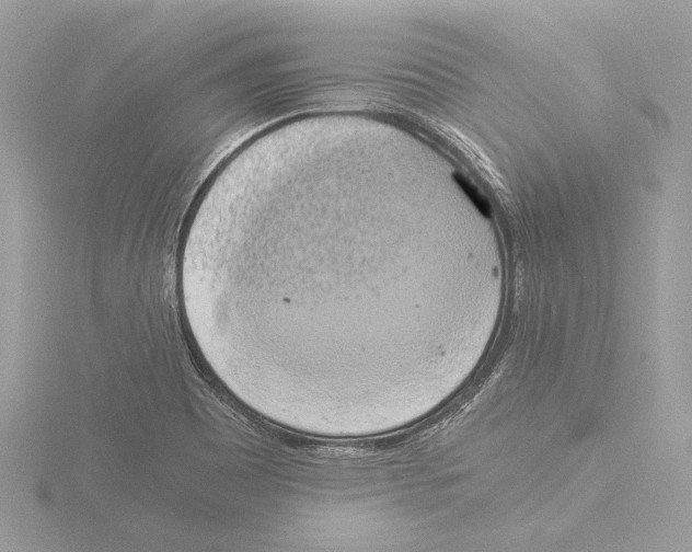 X0000116021465200912181139