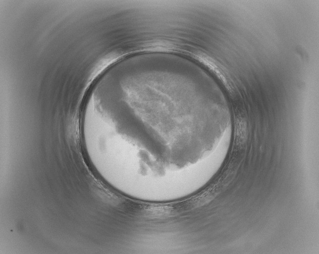 X0000116021466200912181139