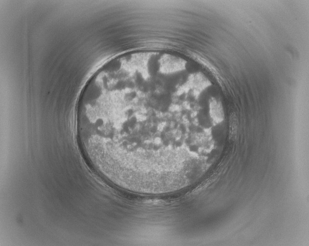 X0000116021467200912181139