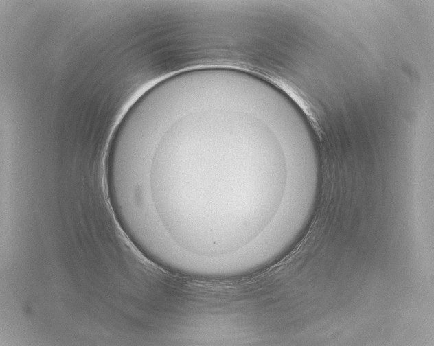 X0000116021468200912181139