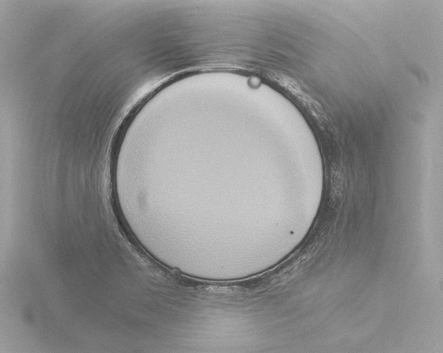 X0000116021469200912181139