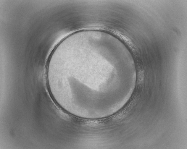 X0000116021470200912181139