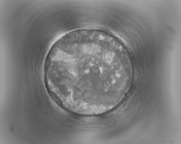 X0000116021471200912181139