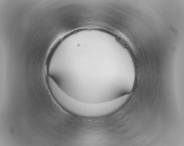 X0000116021472200912181139